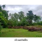 ขายที่ดินว่างเปล่า ต.หนองคู อำเภอ ลำปลายมาศ จังหวัด บุรีรัมย์