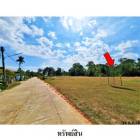 ขายที่ดินว่างเปล่า ต.เดิด อ.เมืองยโสธร จ.ยโสธร