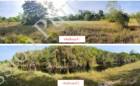 ขายที่ดินราคาถูก ต.สนามไชย อ.นายายอาม จ.จันทบุรี 2 แปลง 22-2-60 ไร่
