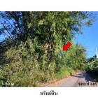 ขายที่ดินว่างเปล่า ต.สามแยก อ.เลิงนกทา จ.ยโสธร