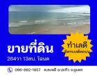เดือนความรักหาทรัพย์  ขายที่สวยติดทะเล ที่ติดชายหาดสะพลี ชุมพร 5.