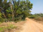 ขายที่ดิน อำเภอพนมดงรัก จังหวัดสุรินทร์ ถนนบ้านรุน - บ้านโคกแสง  