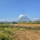 ขายยกแปลง วิวดอยหลวงเชียงดาว บรรยากาศธรรมชาติ เชียงดาว