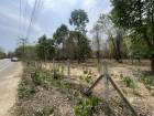 ที่ดินใกล้เมือง ใกล้สนามบินร่มรื่นด้วยไม้ยืนต้นขนาดใหญ่