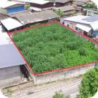 ขายที่ดิน  86  ตรว  ข่วงสันกำแพง ต. สันกำแพง อ. สันกำแพง จ. เชียง