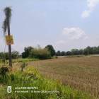 ขายด่วนที่ดิน 15-1-68 ไร่ ติดถนนสาธารณะ ต.เขาพระ อ.เมืองนครนายก  จ.นครนายก  