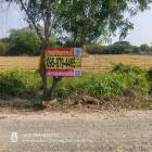 ขายที่ดินใกล้ราชภัฎสวนสุนันทา 947 ตรว  ติดด่วน M81 ต.คลองโยง อ.พุทธมณฑล.นครปฐม  