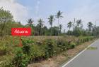 ขายที่ดิน 1 ไร่ 0 งาน 60.2 ตร.ว. ติด ซอยไม้ขาว 7 ใกล้ หาดไม้ขาว