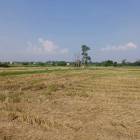 ขายที่ดินแปลงสวย ทำเลดี เขตบึง ศรีราชา ชลบุรี