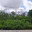 ขายที่ดินศรีราชา บ่อวิน แปลงสวย ทำเลดี เขตเขาขยาย