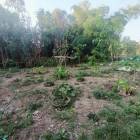 ขายที่ดิน รูปสี่เหลี่ยมผืนผ้า 239 วา สะแกกรัง  อุทัยธานี         