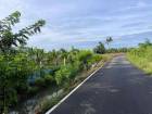 ขายด่วน ที่ดินสวยริมแม่น้ำท่าจีน  อ.หันคา จ.ชัยนาท