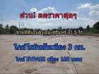 (นักลงทุนภาคอีสานอ่านทางนี้) มีที่ดินสุรินทร์ 31.5 ไร่ลดถูกสุดๆใกล้โรบินสันแค่ 3กม.