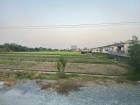 ขายที่ดินบางบัวทอง นนทบุรี เนื้อที่ 10 ไร่