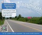 ที่ดินบ้านแพ้วกระทุ่มแบน ขายที่บ้านแพ้ว ที่ดินสวนส้ม